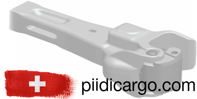 piidicargo.com